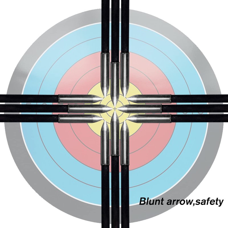 Lanneret Archery Practice Target Arrows for Youth and Beginners, 26/28inch Fiberglass Arrows for Compound & Recurve Bow(Pack of 12) Black
