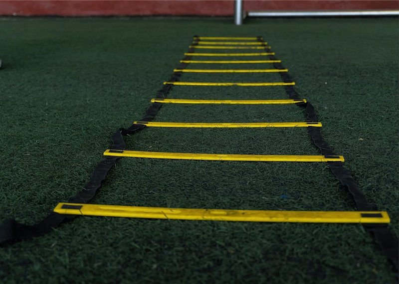 LYKAN FIT 20ft Sports Agility Ladder for Men Women and Kids, Speed Youth Soccer Agility Training Equipment for Football, Exercise, Soccer, Tennis, Legs Workout with Carry Bag (Pink)
