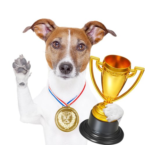 3 Pcs Mini Trophies, Gold Plastic Tiny Small Trophy Cups Winner Awards for Kids adults Sports, Rewards, Winning Prizes, Competitions Ceremony Party Favors