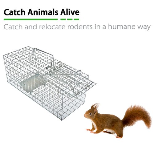 Anyhall Heavy Duty Humane Live Animal Cage Trap for Squirrels, Weasels and Similar-Size Rodents - 17” x 7” x 7”