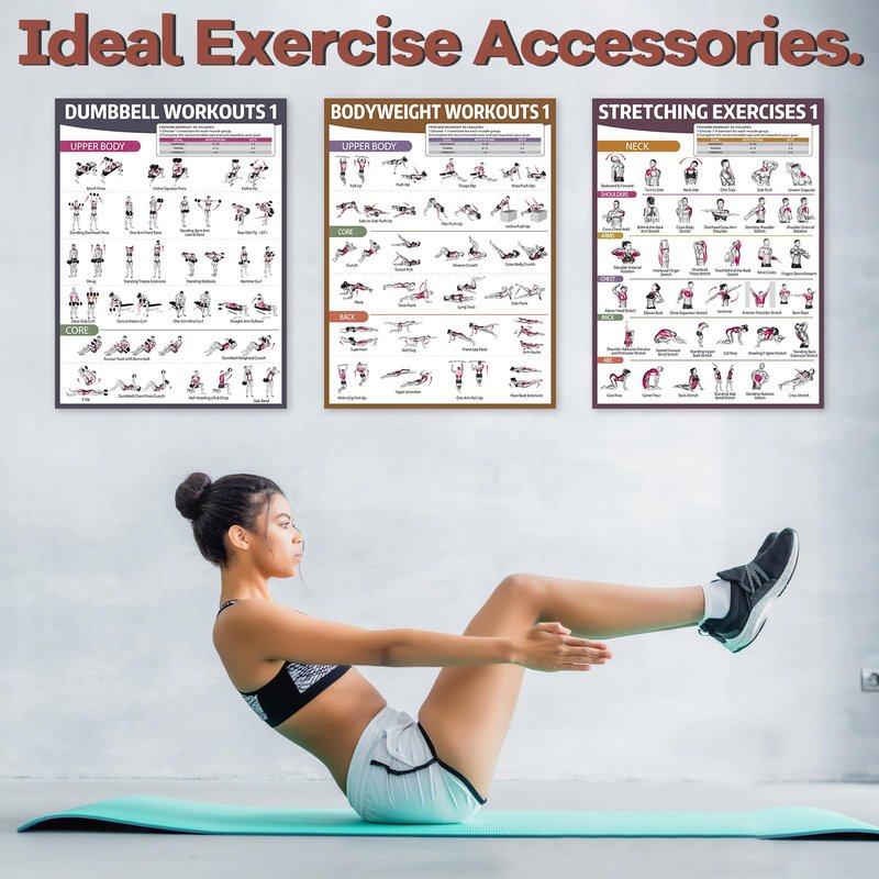 gisgfim 6PCS Workout Posters Dumbbell Bodyweight Stretching Workout Exercise Chart for Home Gym Full Body Routine Poster Set Muscle Engagement Exercise Illustrations Garage Home Gym Wall Decorations