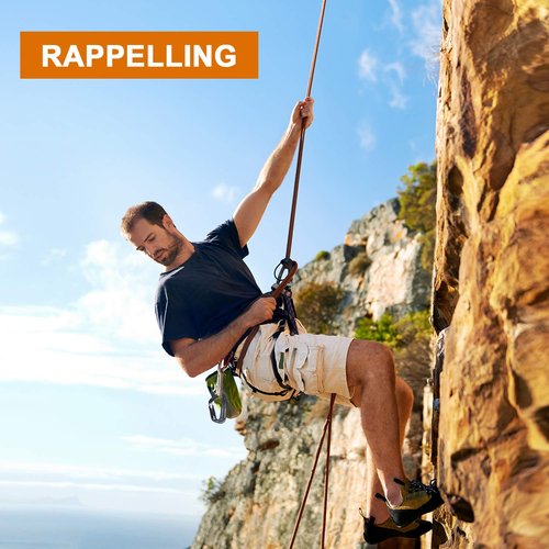 Heavy Duty Locking Climbing Carabiner - Favofit 25KN UIAA Certified Safety Carabiner Clip for Arborist - 3.9'' Large Rock Climbing Hook for Hammock Rappelling Hunting