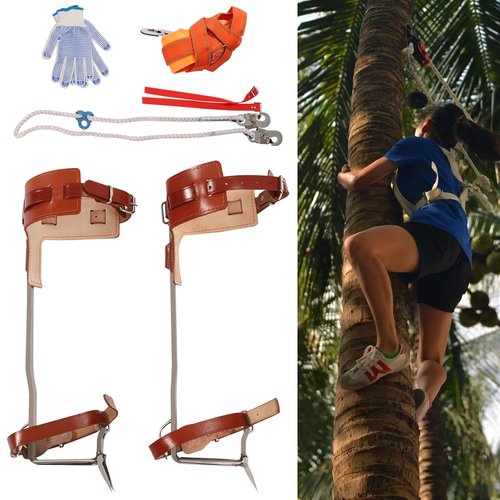 CheriMuMu Cowhide Leather Tree Climbing Spikes Set, Buckle Tree Climbing Gear with Adjustable Climbing Belt Rope, Climbing Tools Kit for Climbing, Picking Fruit, Indoor and Outdoor Sports(Brown)