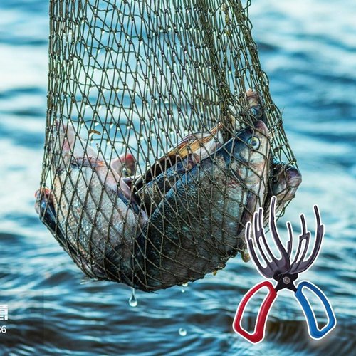 3 Claw Fish Gripper, Fishing Pliers Gripper, Metal Fish Control Clamp Claw Tong Grip Tackle Tool, Multi-Functional Lightweight Non-Slip Fish Claw Gripper for Catch Fish Fishing Accessories (3 Claw)