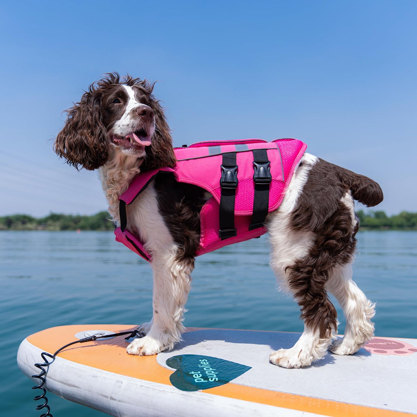 Kuoser Dog Life Jacket Large, High Flotation Puppy Safety Vest for Swimming Boating, Reflective Water Vest Pet Life Preserver with Rescue Handle, Orange L
