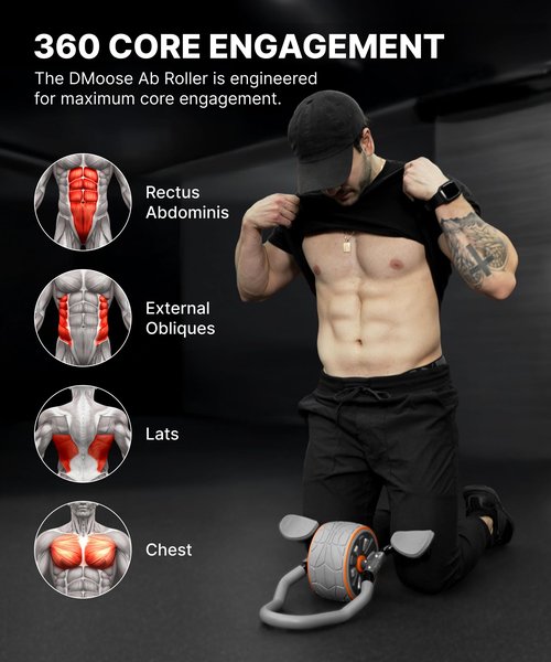 DMoose Fitness Ab Roller Wheel with Elbow Support & 2 Knee Pads - Abdominal Exercise Trainer for Core Strength Training - Ultimate Abs Workout Equipment for Home and Gym - Ab Machine for Men & Women (Grey)
