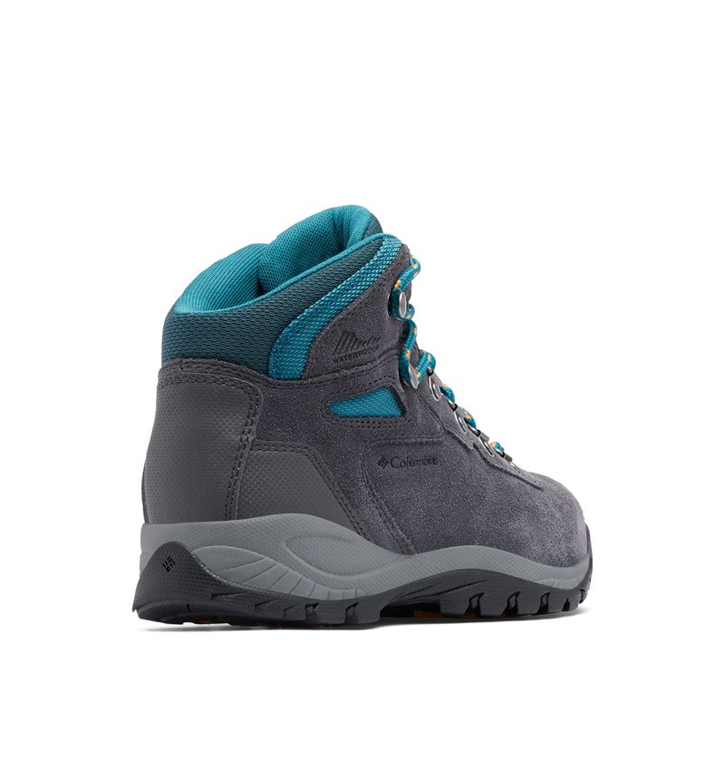 Columbia Womens Newton Ridge Plus Waterproof Amped, Shark/River Blue, 9 Wide