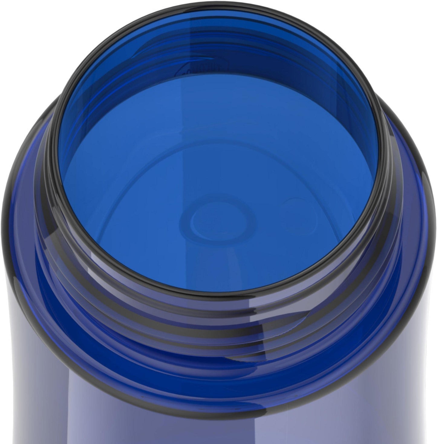 THERMOS FUNTAINER 16 Ounce Plastic Hydration Bottle with Spout, Blueberry