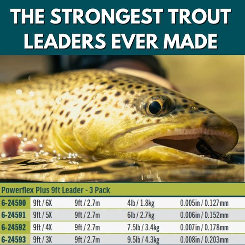 RIO Products Trout Powerflex Plus Leader, Pre-Tied Loop for Easy Rigging, High Performance Tapered Leader Line, Clear, 9FT, 5X, Pack of 3