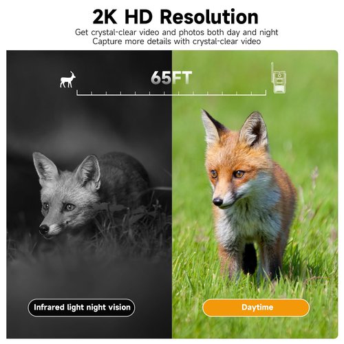Trail Camera Unlimited Data Plan Cellular Trail Cameras 2K Live Feed 4G Game Camera Built in SIM Card Trail Cameras with Night Vision Motion Activated Waterproof IP66 Solar Cellular Security Camera