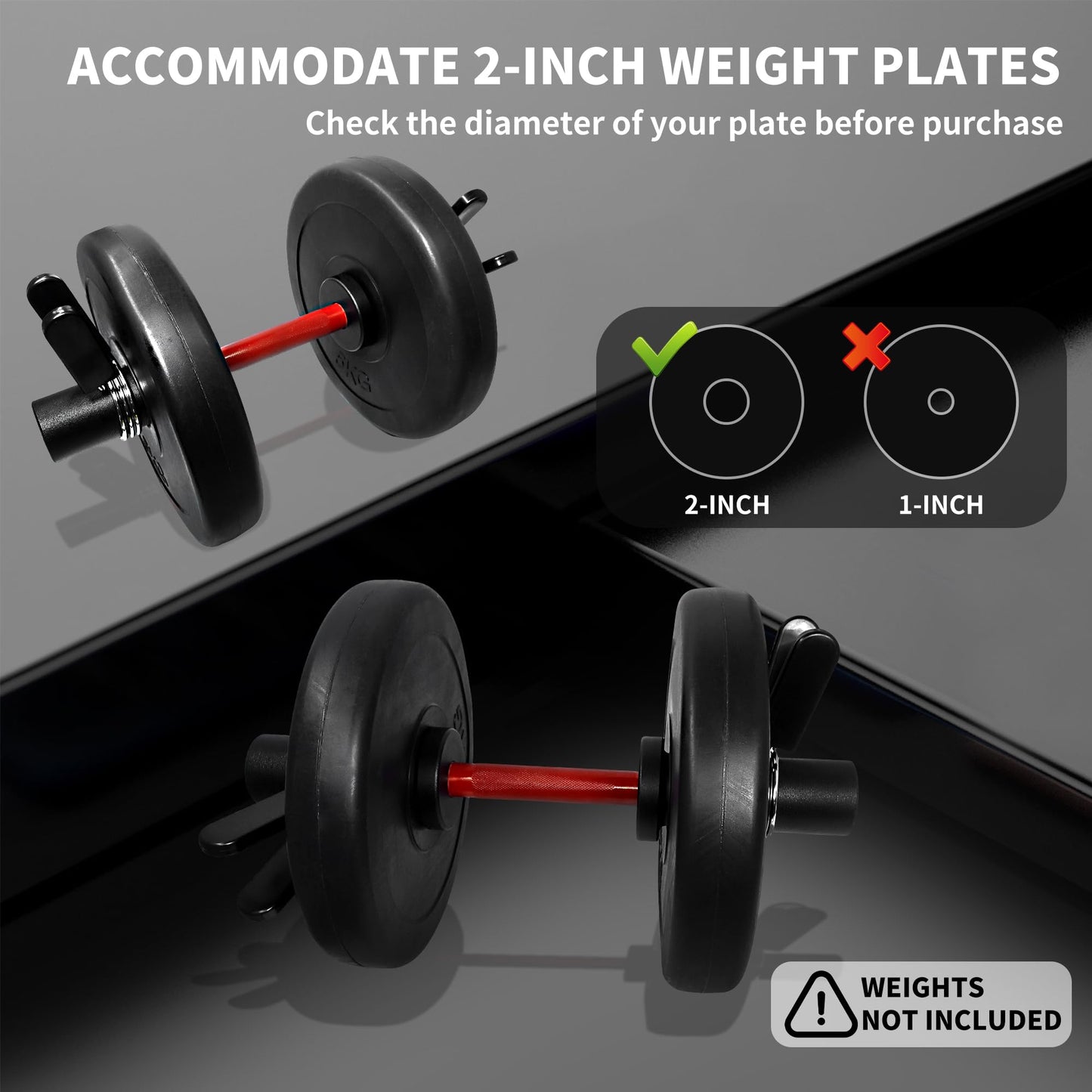 16" Olympic Dumbbell Handle, Loadable Dumbbells for 2-inch Olympic Weight Plates, Dumbbell Bar for Home Gym Strength Training, 2 Pair of Spring Collars Included