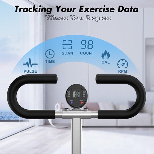 FLYBIRD Gray Squat Machine, Ride Rowing Machine for Glute Core Legs Cardio Exercise, 4 Adjustable Resistance Levels, Foldable & Easy Setup, Full Body Workout Home Gym, 350 LBS Capacity