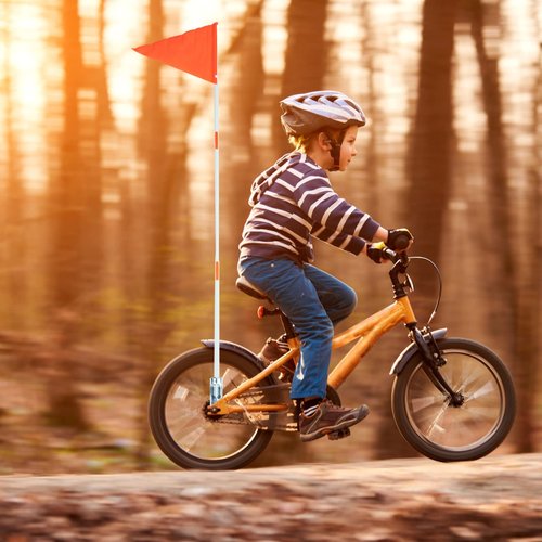 YARNOW 2 Sets 6ft Fiberglass Bike Safety Flags with Pole and Mount for Kids, Random Color, Outdoor Use