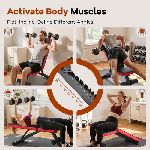 NICEPEOPLE Basic Weight Bench for Home Gym, Foldable Workout Bench with 8 Backrests, 660LBS Weight Capacity Adjustable Bench