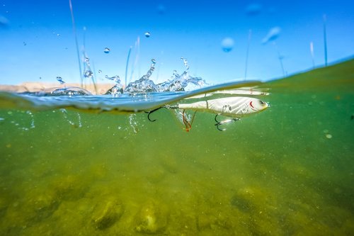 Berkley Choppo Fishing Hard Bait
