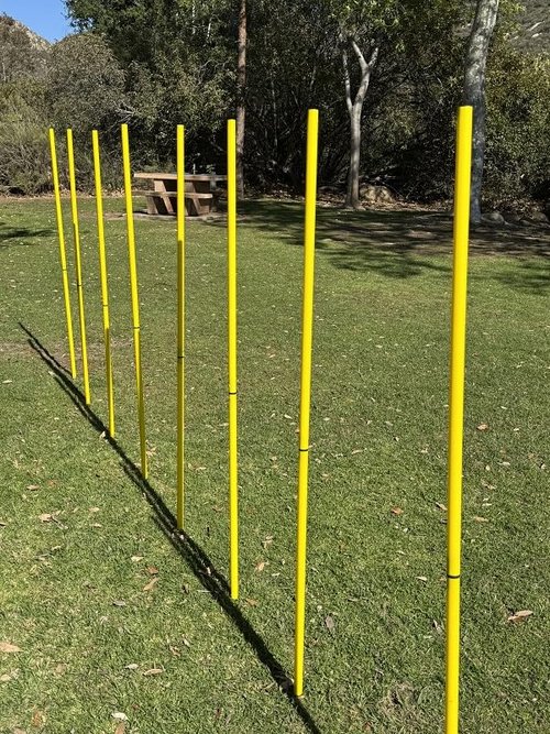 BlueDot Soccer Agility Poles | 6ft Collapsible Training Poles (8pc) for Speed, Agility, Outdoor Games & Exercise Soccer Training Equipment for Turf, Field, Court – with Metal Ground Spikes