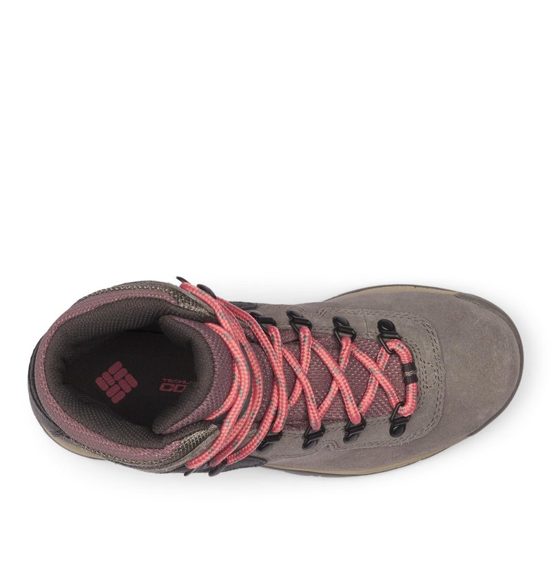 Columbia Womens Newton Ridge Plus Waterproof Amped, Stratus/Canyon Rose, 5 Wide
