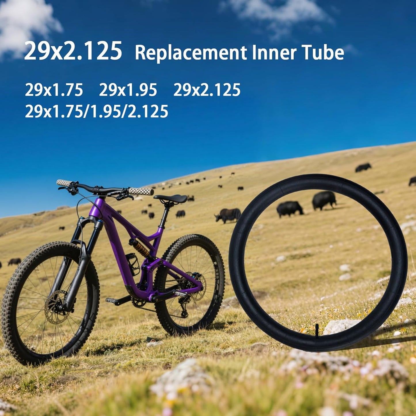 2-Pack 29x2.125 29x1.95 29x1.75 Bike Tube 29x1.75/1.95/2.125 Inner Tube 29 inch Tube