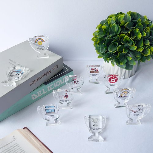OurWarm 30Pcs Employee Appreciation Gifts Reward, Employee Appreciation Gifts Bulk Clear Acrylic Trophy, Mini Trophies Group Gifts for Coworkers, Best Awards and Trophies for Teacher Nurse Office Team