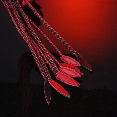 Handwoven Genuine Leather Cat-O'-Nine-Tails Whip | 60cm Total Length with Willow-Leaf Tail | 15cm Hangable Premium Equestrian Whip | Dual Use for Training & Collectors (Red Black)