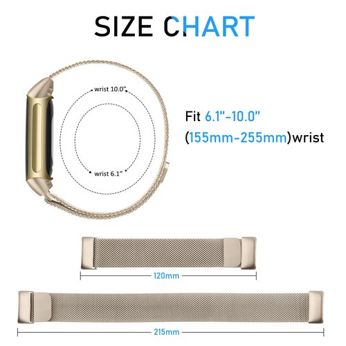 Metal Band Compatible with Fitbit Charge 6 Bands Women Men, Stainless Steel Mesh Loop Magnetic Replacement Bracelet Strap for Fitbit Charge 6 Fitness Tracker (Champagne)