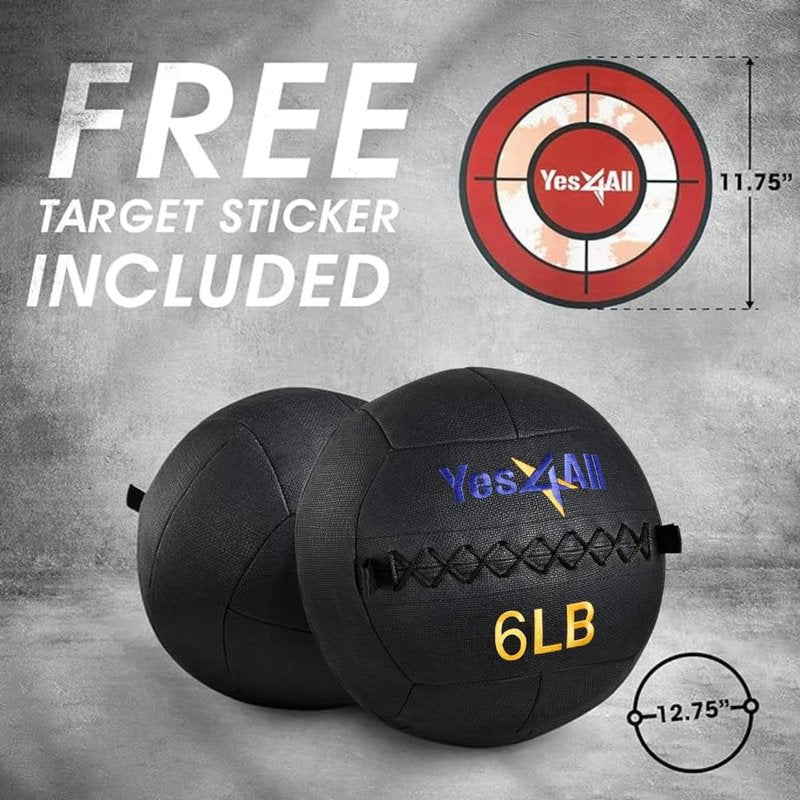 Yes4All Wall Ball, Soft Leather Weighted Iron Sand Ball for Dynamic Multifunctional Exercise, 10 LB + Target Sticker