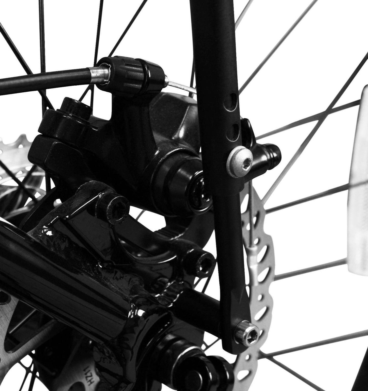 Ibera Bike Rack - Bicycle Touring Carrier Plus+ for Disc Brake Mount, Frame-Mounted for Heavier Top & Side Loads, Height Adjustable for 26"-29" Frames