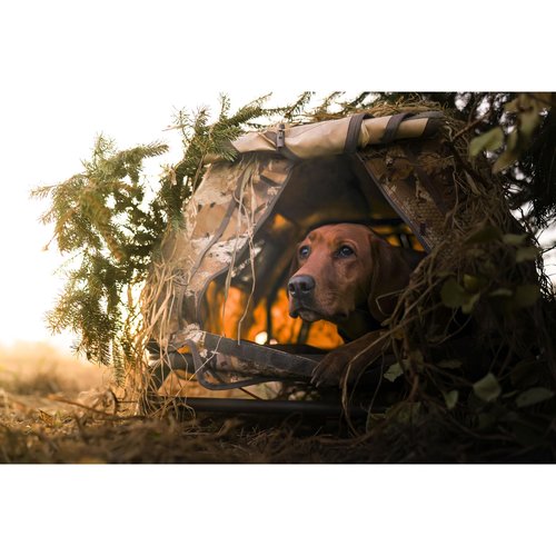 Momarsh Field House LP Dog Blind for Waterfowl Hunting & Gun Dogs