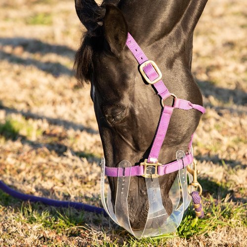 ThinLine Flexible Filly Grazing Muzzle | Lightweight Safe Comfortable Ventilated Equine Slow Feed Halter Mounting Clear Horse Mask, Cob/Horse, 2.5+ cm Hole