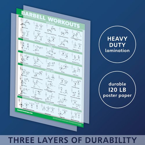 Palace Learning 4 Pack - Dumbbell Workouts + Barbell Workouts + Bodyweight Workouts + Muscle - Set of 4 Workout Charts (18” x 24”, LAMINATED)