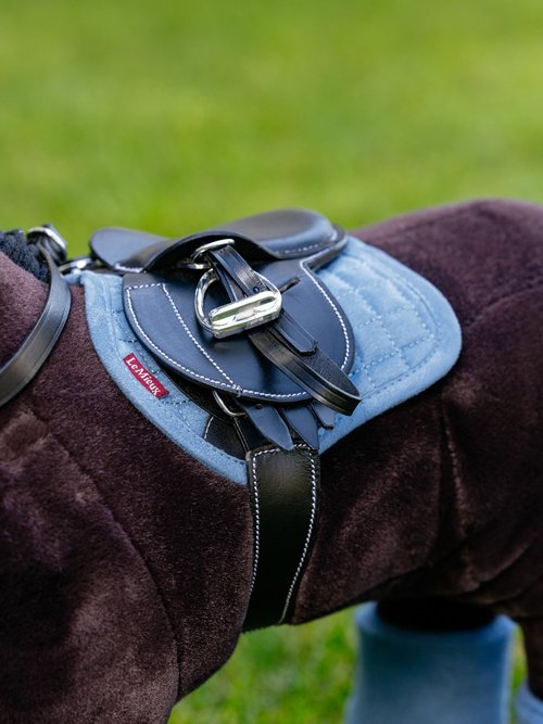 LeMieux Toy Pony Saddle Pad for Toy Pony - Soft Suede & Cotton Lining - Suitable for Ages 3 Years + - Gift for Kids - Ice Blue