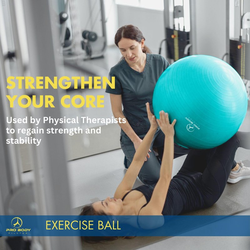 ProBody Pilates Exercise Ball - Multiple Sizes Gym Grade Balance Ball for Fitness, Workout, Pregnancy & Physical Therapy, Stability Yoga Ball Chair (Silver, 55cm)
