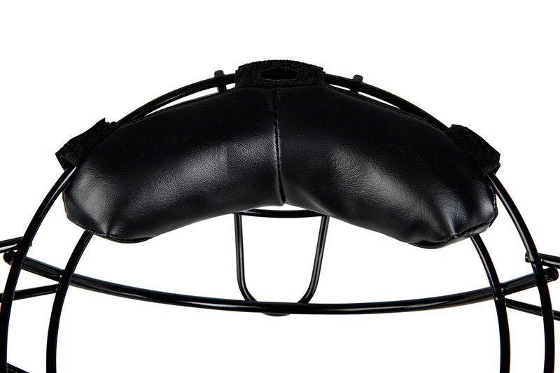 Champro Catcher's Mask (Black, 27-Ounce/Adult)