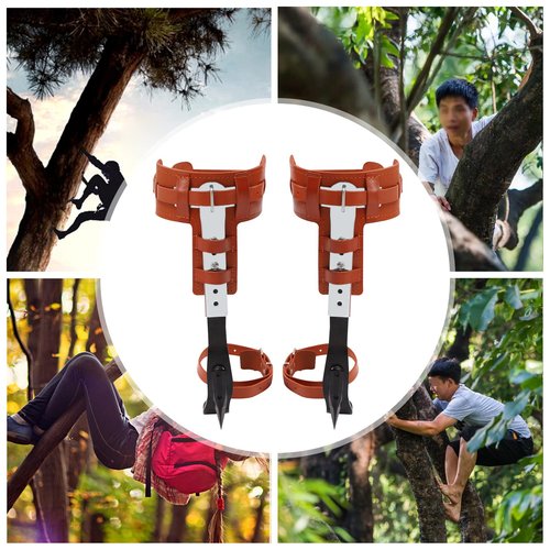 LYNICESHOP Professional Stainless Steel Tree Climbing Spurs, Multi-Functional Safety Harness w/Cowhide Straps, 440lbs Capacity Gear for Arborists, Hunters, Survivalists