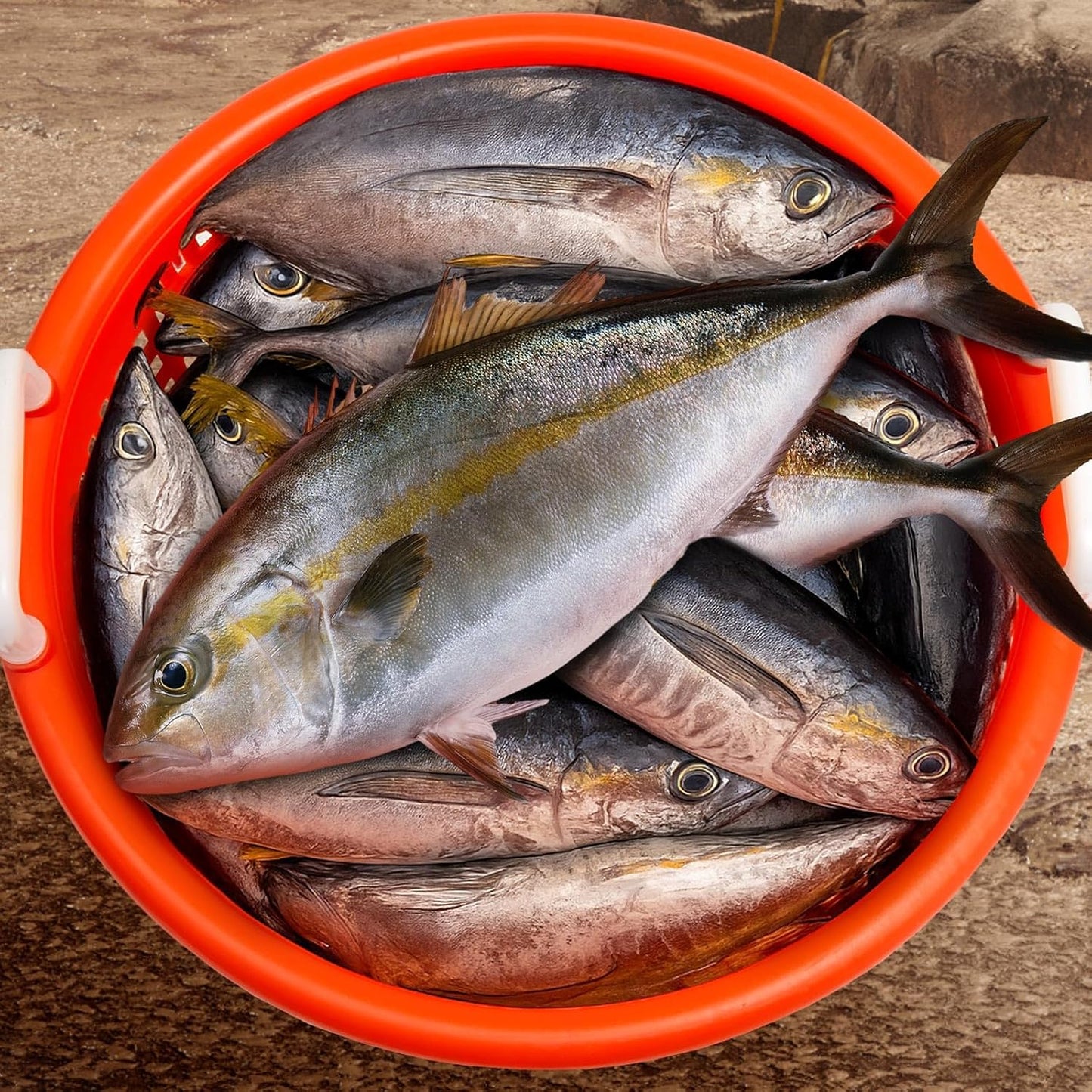 2 Pcs Heavy Duty Fish Basket 100 lbs Orange Seafood Basket for Crawfish Fishing Laundry Storing Fruits and Vegetables Multiple Usage