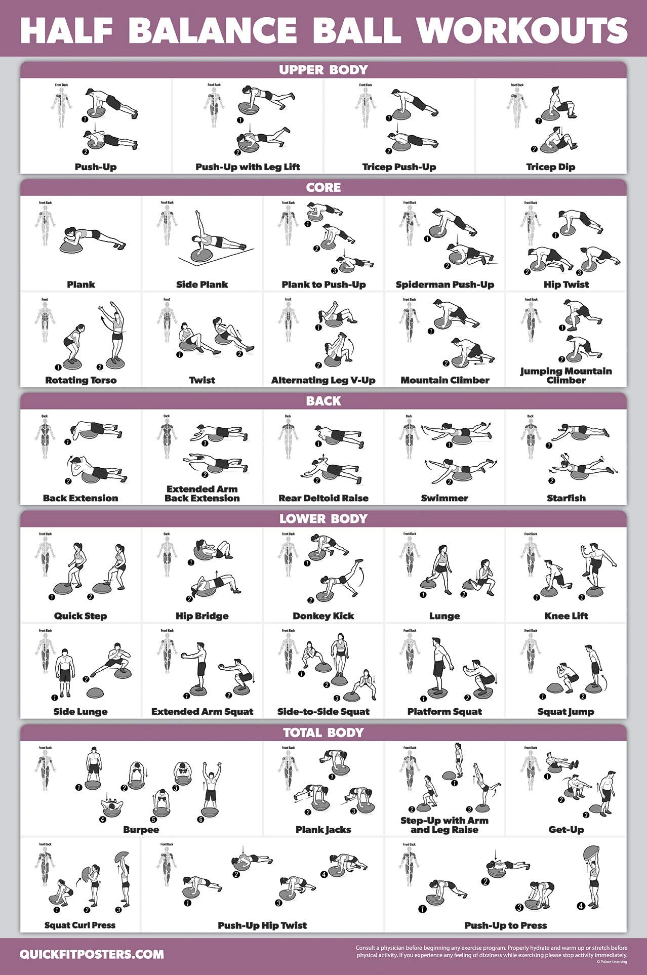 2 Pack: Half Balance Ball Workout Poster + Yoga Ball Exercise Chart - Set of 2 Workout Posters (LAMINATED, 18" x 24")