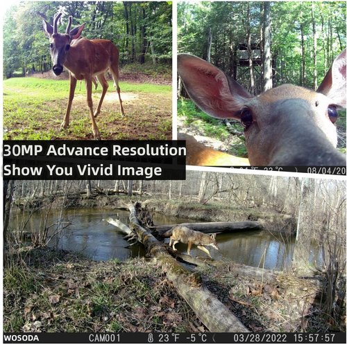 WOSODA 2 Pack Trail Cameras with Night Vision Motion Activated Waterproof,30MP Hunting Game Camera,1080P HD Trail Cam with SD Card for Wildlife Monitoring,Outdoor Scouting & Security