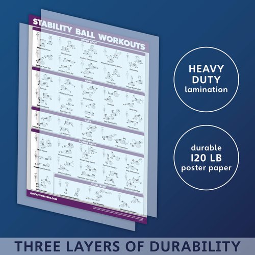 2 Pack: Half Balance Ball Workout Poster + Yoga Ball Exercise Chart - Set of 2 Workout Posters (LAMINATED, 18" x 24")
