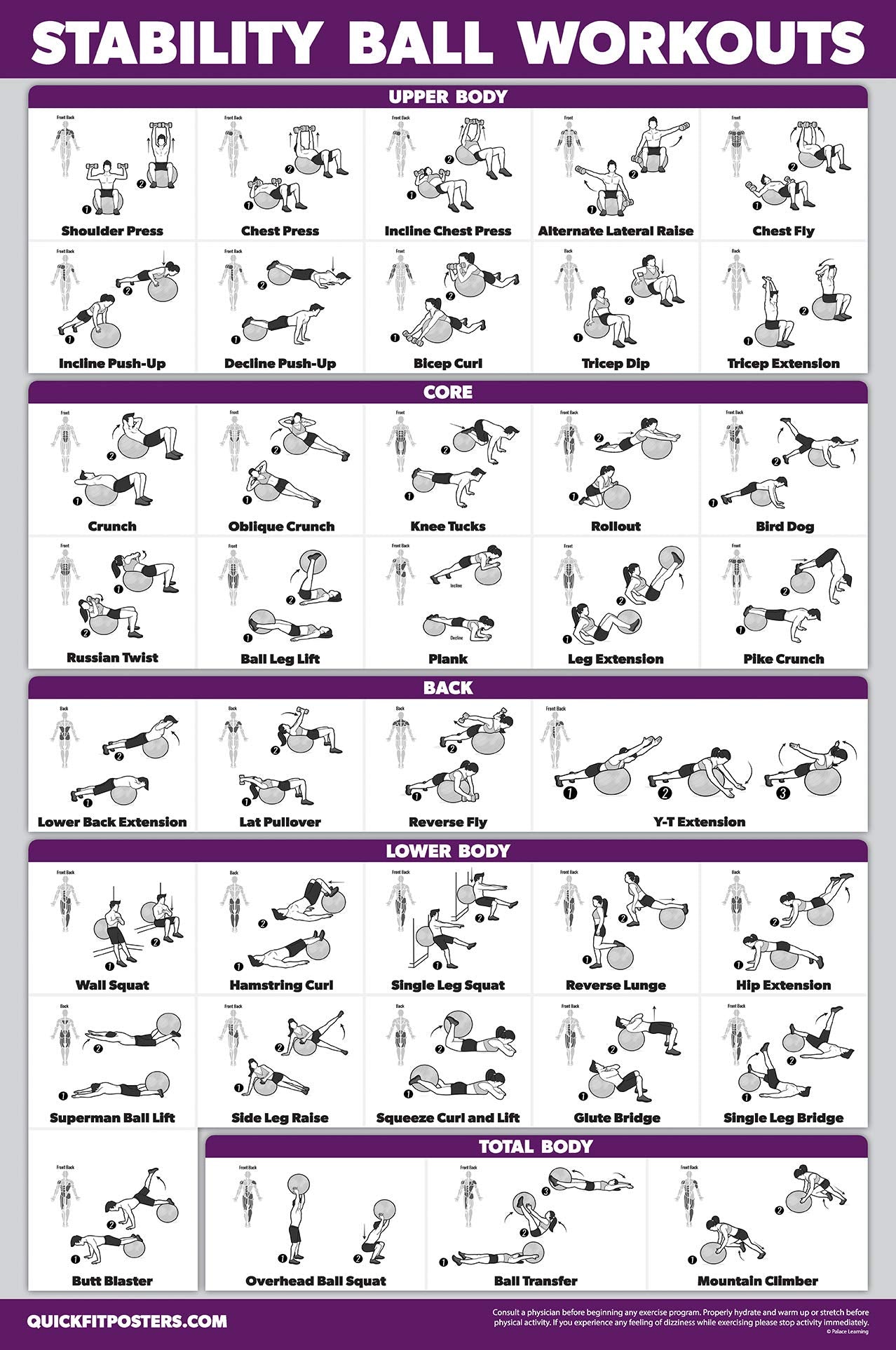 2 Pack: Half Balance Ball Workout Poster + Yoga Ball Exercise Chart - Set of 2 Workout Posters (LAMINATED, 18" x 24")