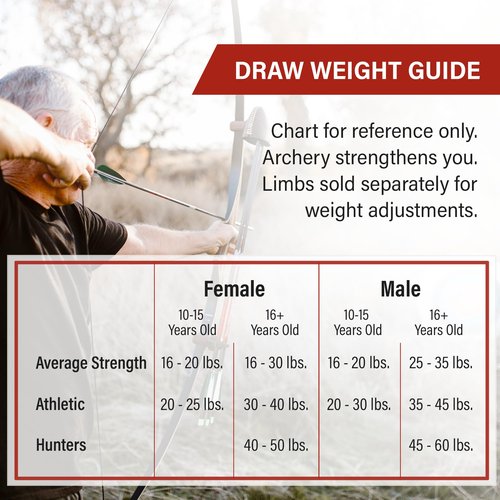 Spyder Takedown Recurve Bow - Hunting & Target Bow - Fast, Accurate, Versatile - Handcrafted Riser - Fiber Glass Maple Limbs - 62" Right Hand, 45lb with Stringer Tool