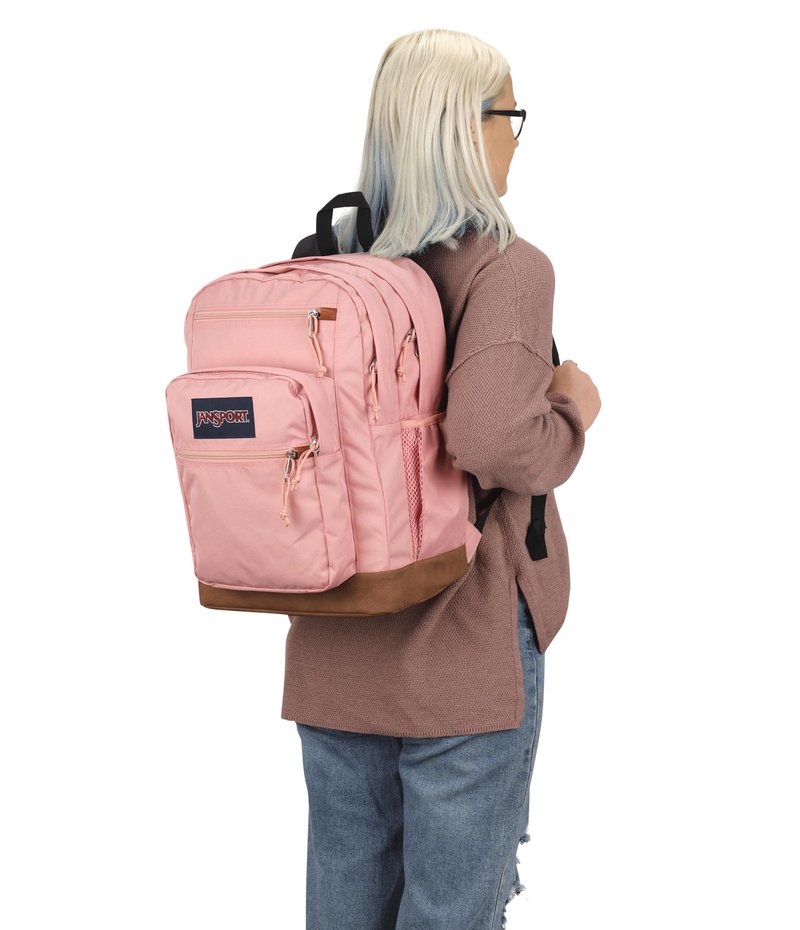 JanSport Cool Backpack, with 15-inch Laptop Sleeve - Large Computer Bag Rucksack with 2 Compartments, Ergonomic Straps, Misty Rose