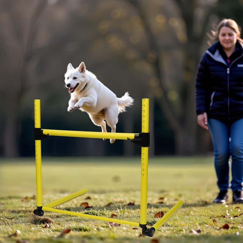 Adjustable Height Hurdles Training Equipment, 3Pcs Practice Hurdles Track and Field for Agility Training, Indoor & Outdoor Detachable Jumping Speed Hurdles for Football, Soccer, Basketball, Dogs