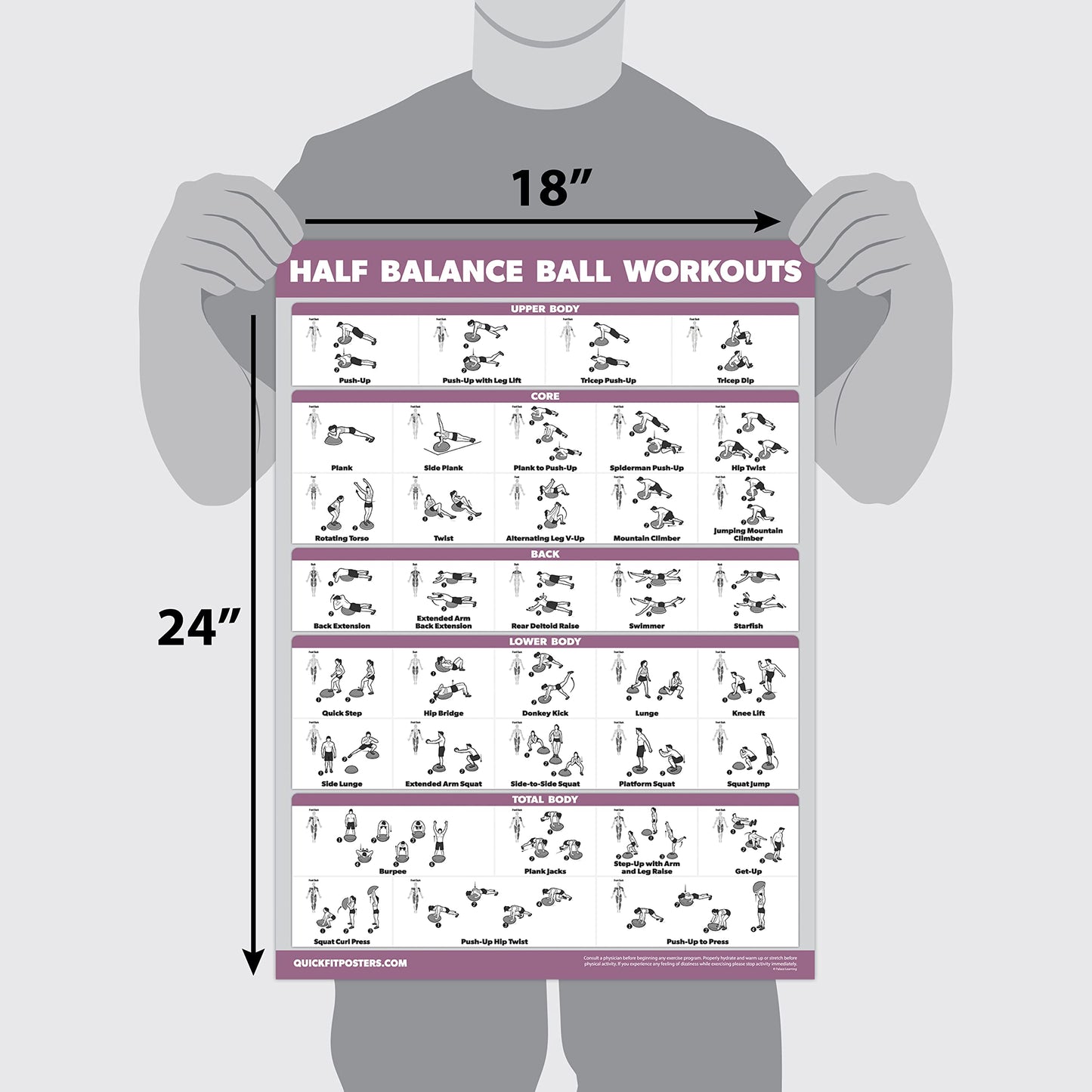 2 Pack: Half Balance Ball Workout Poster + Yoga Ball Exercise Chart - Set of 2 Workout Posters (LAMINATED, 18" x 24")