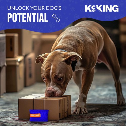 Ultimate Dog Scent Training Kit Metal Box - Enrichment Puzzle Toy for Dogs, Dog Training Tools & Behavior Aids, Scent Work Training for Dogs, Agility Training Equipment for Dogs, Puppy Training Tools