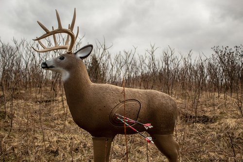 Field Logic Big Shooter Buck 3D Archery Target with Replaceable Insert Core, Brown