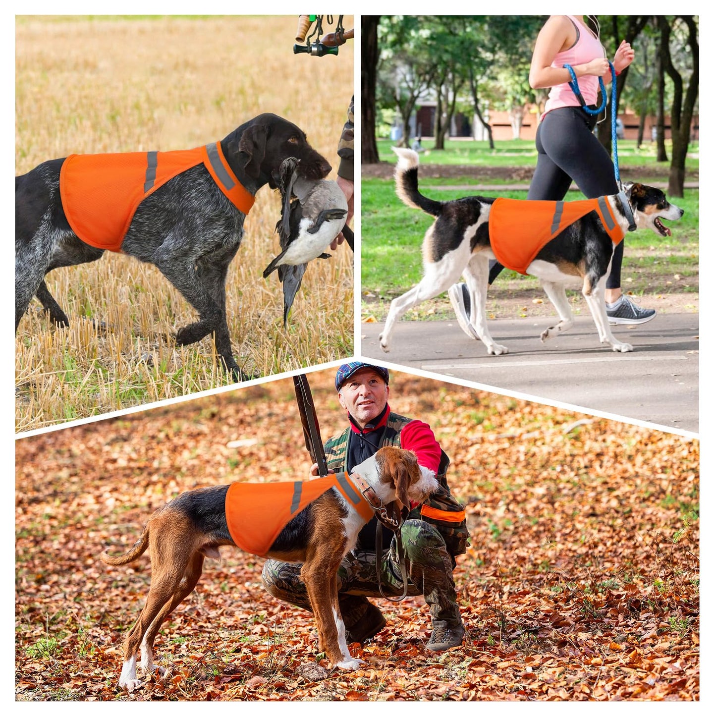 Dog Jacket High Visibility Safety Reflective Dog Vest for Small Medium Large Dogs (Large, Orange)