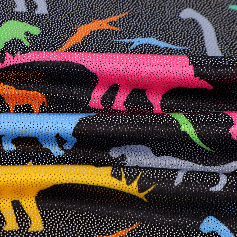HOZIY Dinosaur Leotard for Toddlers Gymnastics 2t/3t 2t-3t 2 3 Year Old Kids Tumbling Outfits Biketard Biketards Bodysuit Clothes Clothing Dance Gimnasia Black