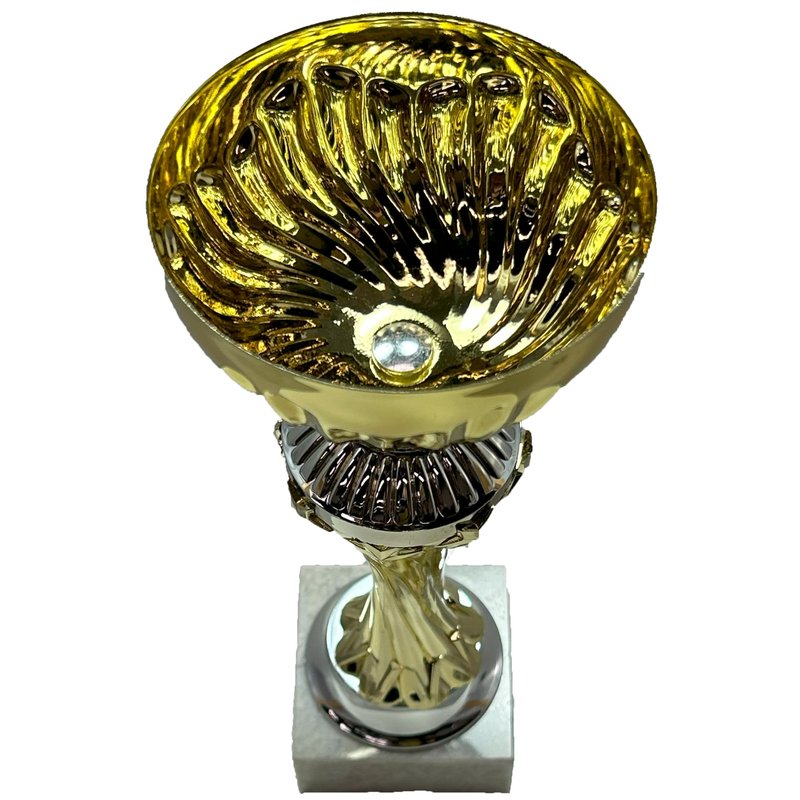Express Medals 10 Inch Trophy Cup - Event, Sport Tournaments, Competitions, Recognition Gift or Award, 10 Inches Tall x 3.5 Inches Wide. AMC327-C