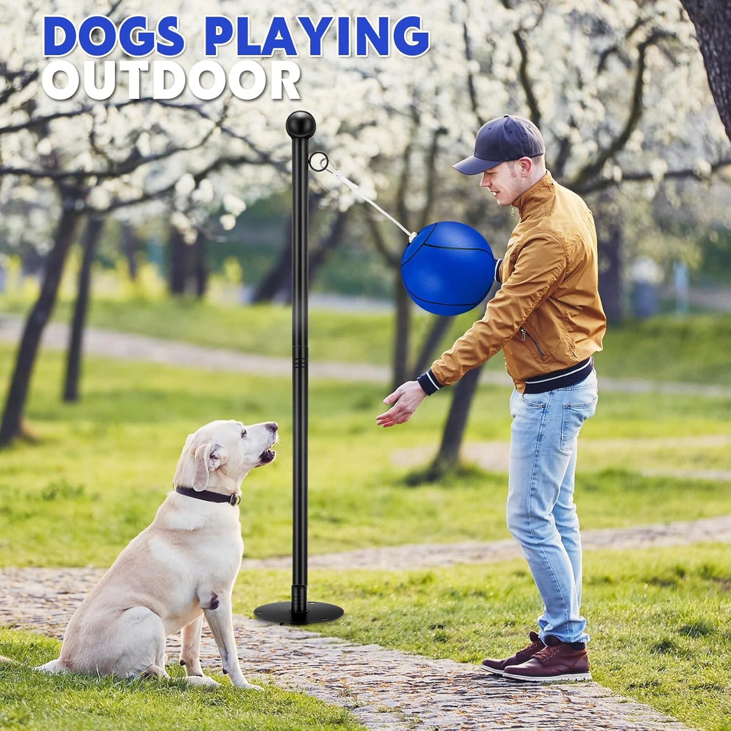 10 ft Tetherball Set with 2 Balls, Portable Replacement Tetherball Ball and Rope and Pole Tether Equipment Adjustable Pole Game for Adult Dog Outdoor Backyard Beach