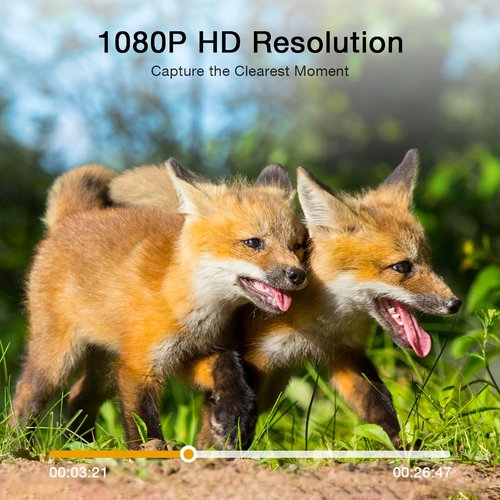 4K Trail Camera, 850nm Night Vision Game Camera with 0.3s Fast Trigger Time, IP56 Waterproof for Wildlife Monitoring, 120° PIR Motion Activated, 2-inch Screen Hunting Cam (2 Pack)